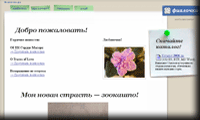 http://www.violets.ru/